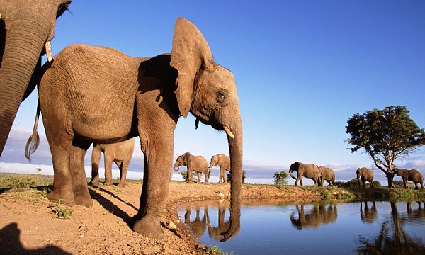 9 Day Kenya Highlights Safari