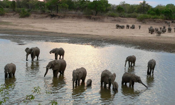 9 Day Livingstone/ South Luangwa National Park