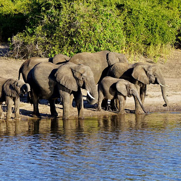 10 Day Victoria Falls & Botswana Honeymoon Safari Tour