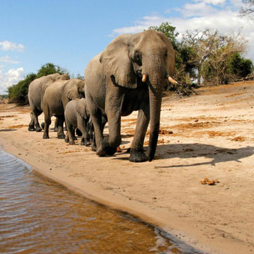 9 Days Tour of Victoria Falls, Chobe, and Kruger