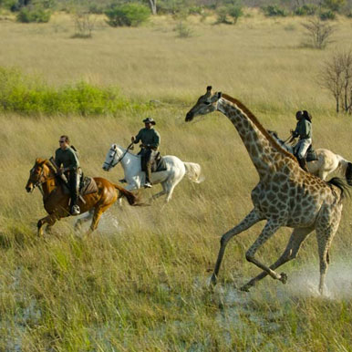 African Horseback Safari