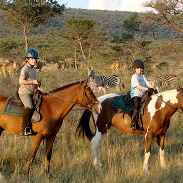 11 days Okavango Horseback Safaris