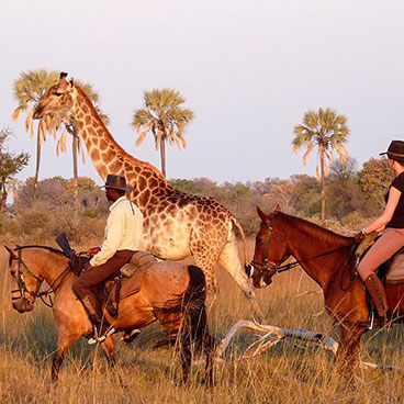 African Horseback Safari