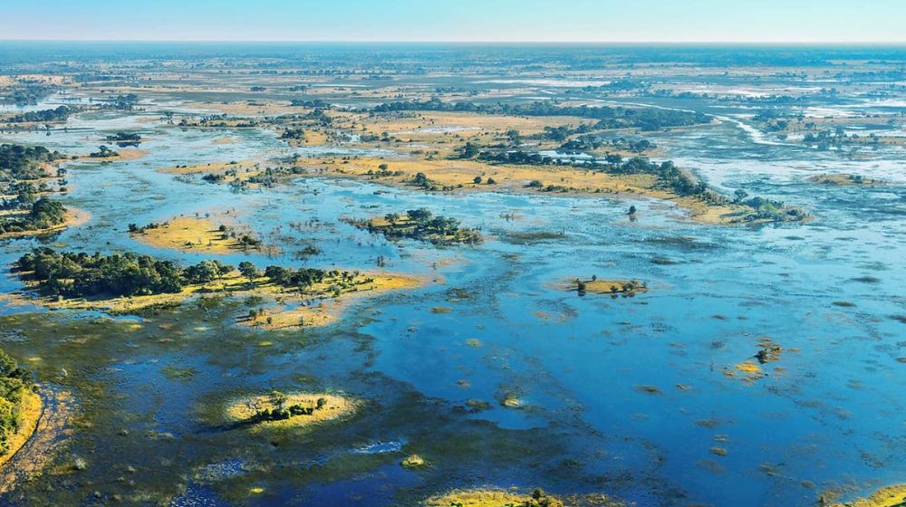  Best Time To Visit Okavango Delta