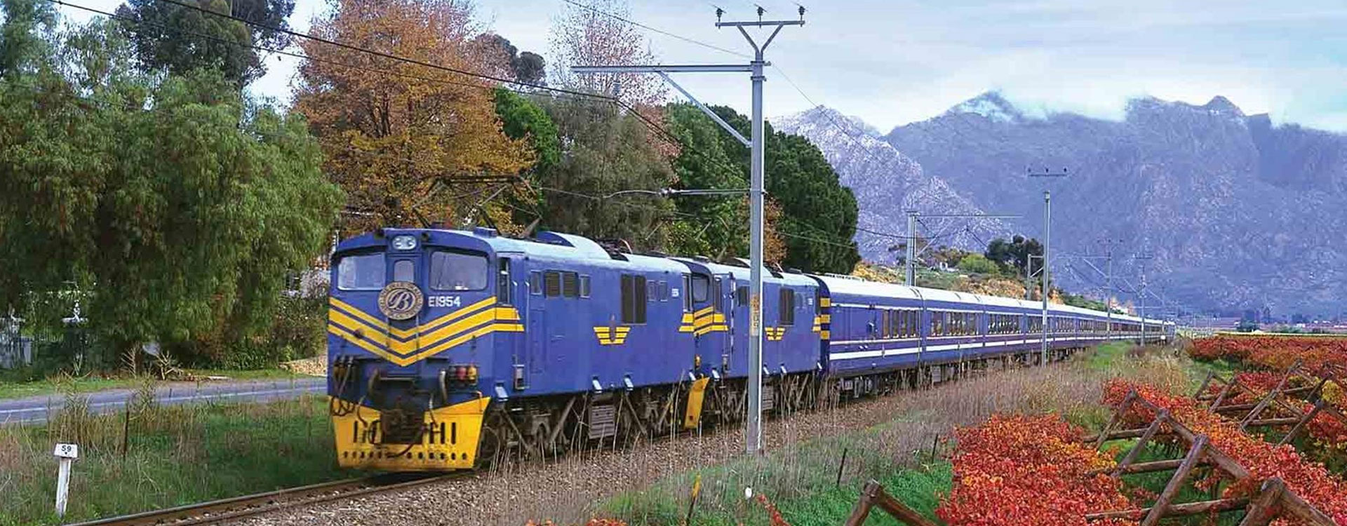 Blue Train Cape Town- Pretoria
