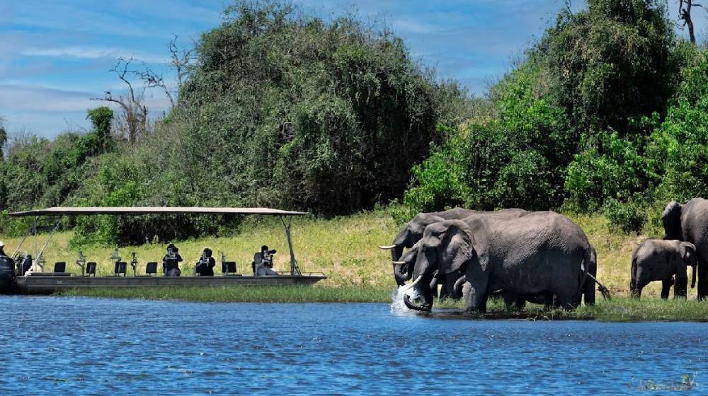 Botswana Safari Cost