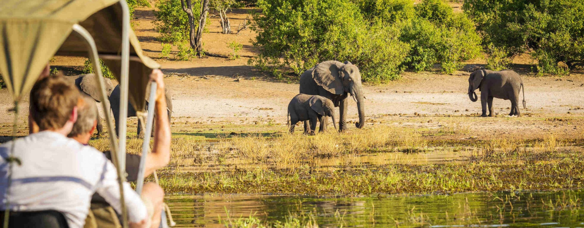 Botswana Safari Packages