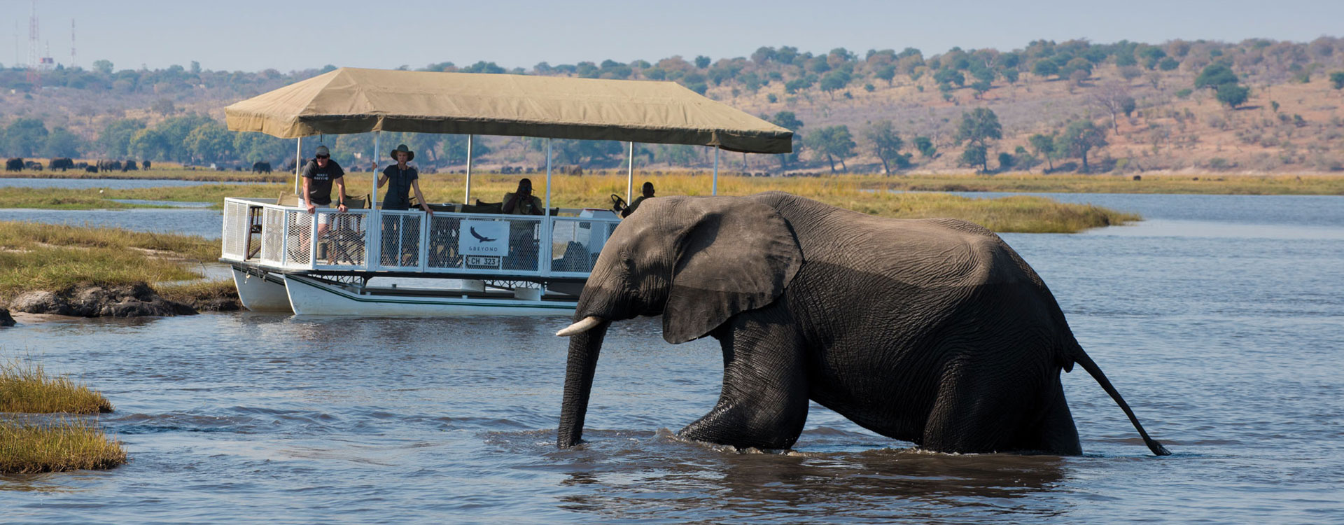 Chobe Day Trips From Victoria Falls 