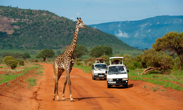 11 Day Discover Africa