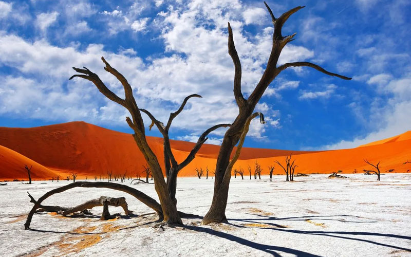 Need To Know- Namibia Destinations 