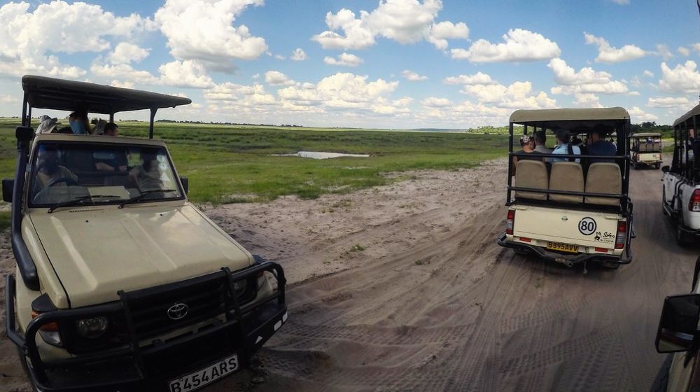 Getting To Chobe National Park