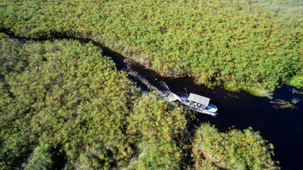  Getting To Okavango Delta