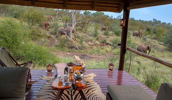 5 Days Balule Game Reserve And Serenity Forest Lodge