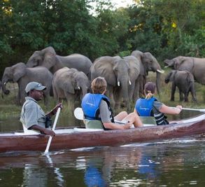 Boating Safari