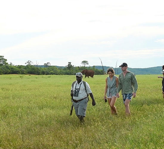 Walking safaris in Matusadona National Park