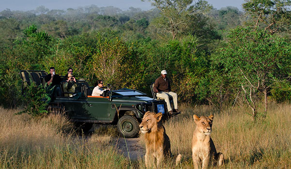 5 Days The Greater Kruger Adventure