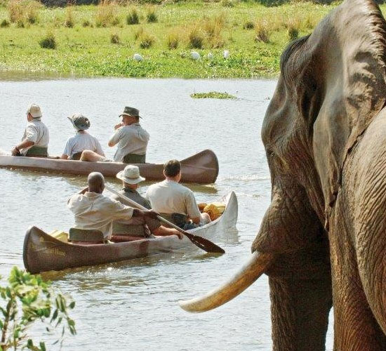 River Safaris