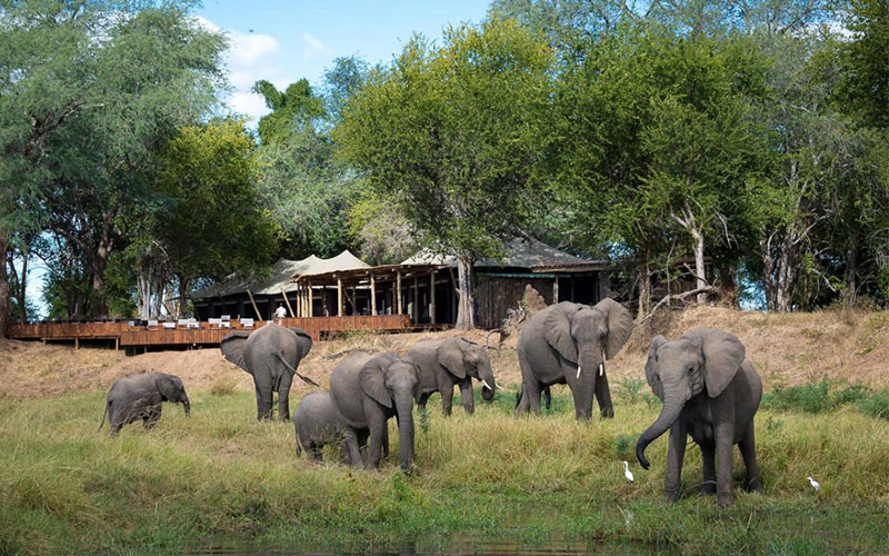 Miombo Elephant Camp