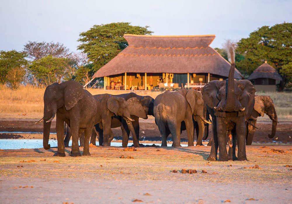 Miombo Elephant Camp