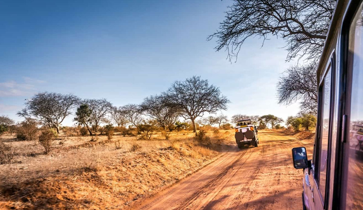 Namibia Safari Cost