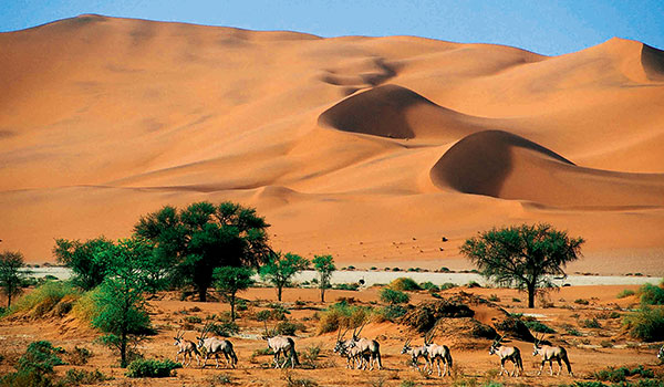 6 Day Dunes & Wildlife of Namibia