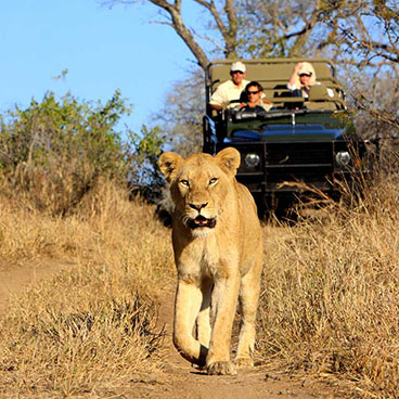 3 Day Etosha Fly In Safari Luxury