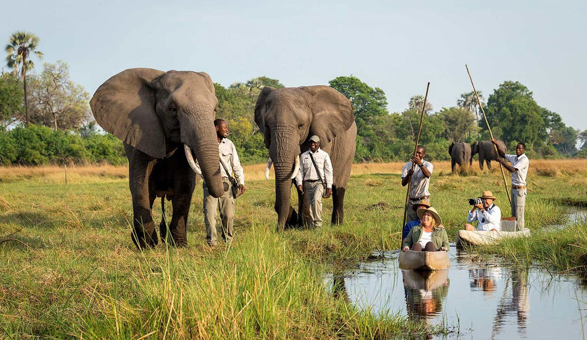 Okavango Delta Safari Cost