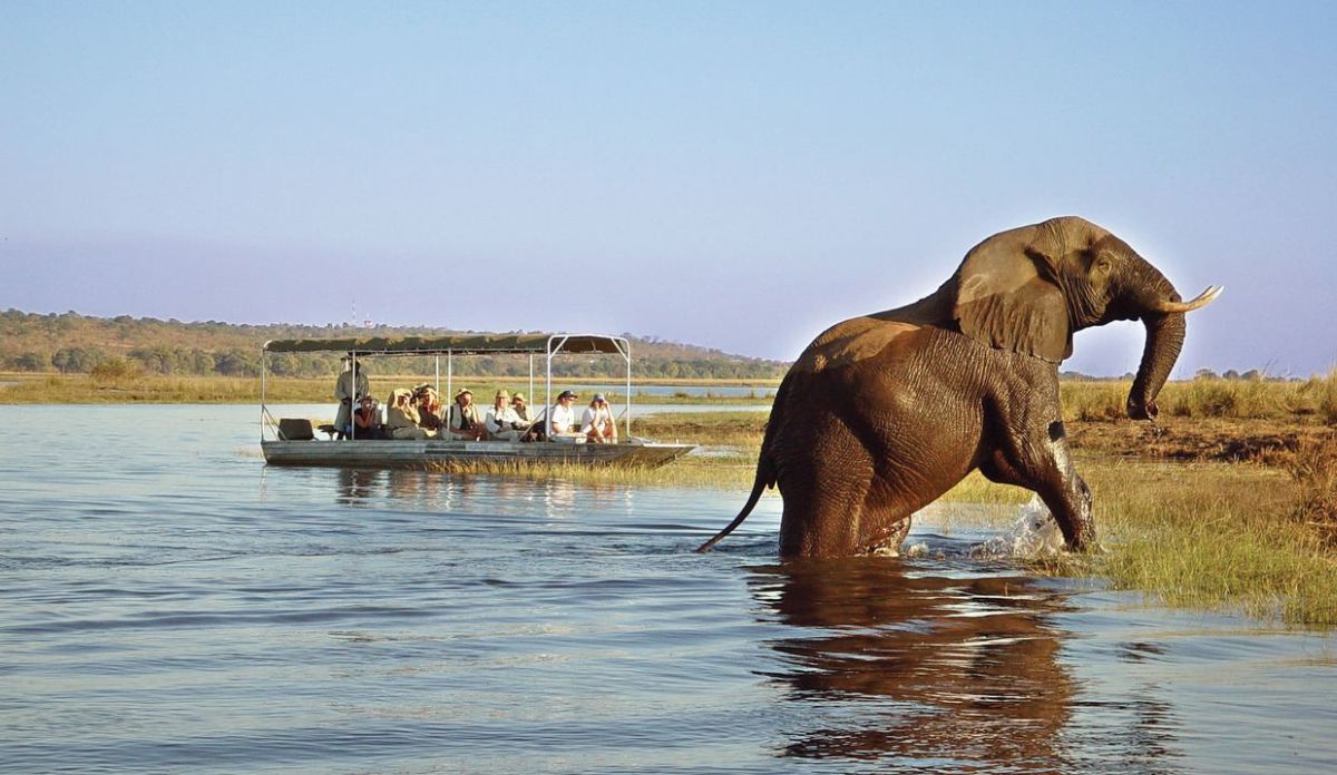 Okavango Delta Safari Packages