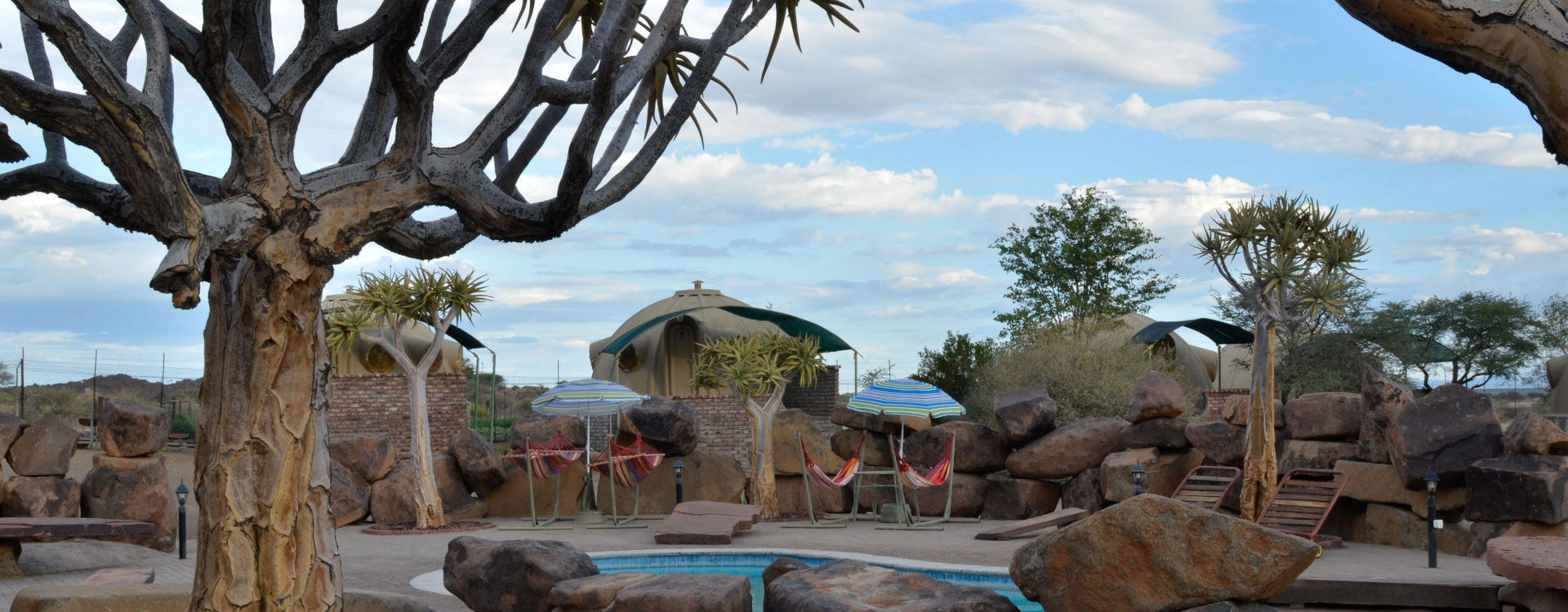 Quiver Tree Forest Rest Camp