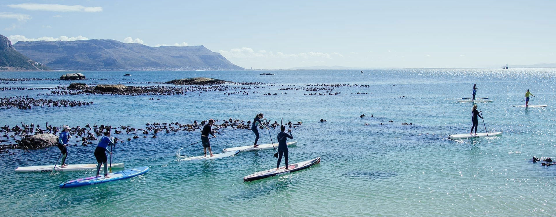 Sea Kayaking & Cape Point