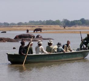 Boating safari