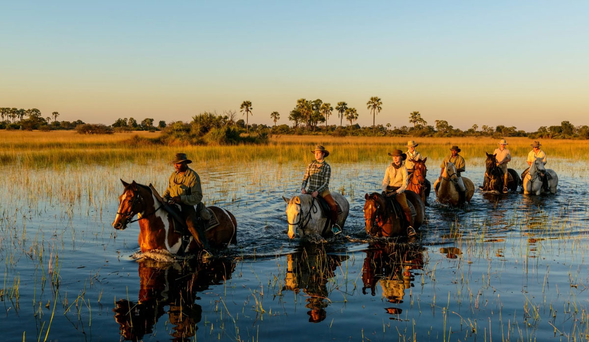 Things To Do In Okavango Delta