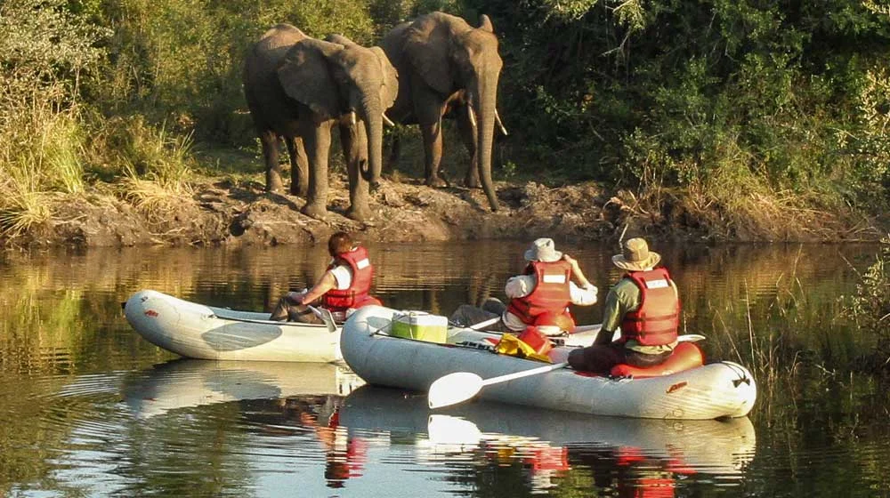 Zambezi River Canoeing Trips