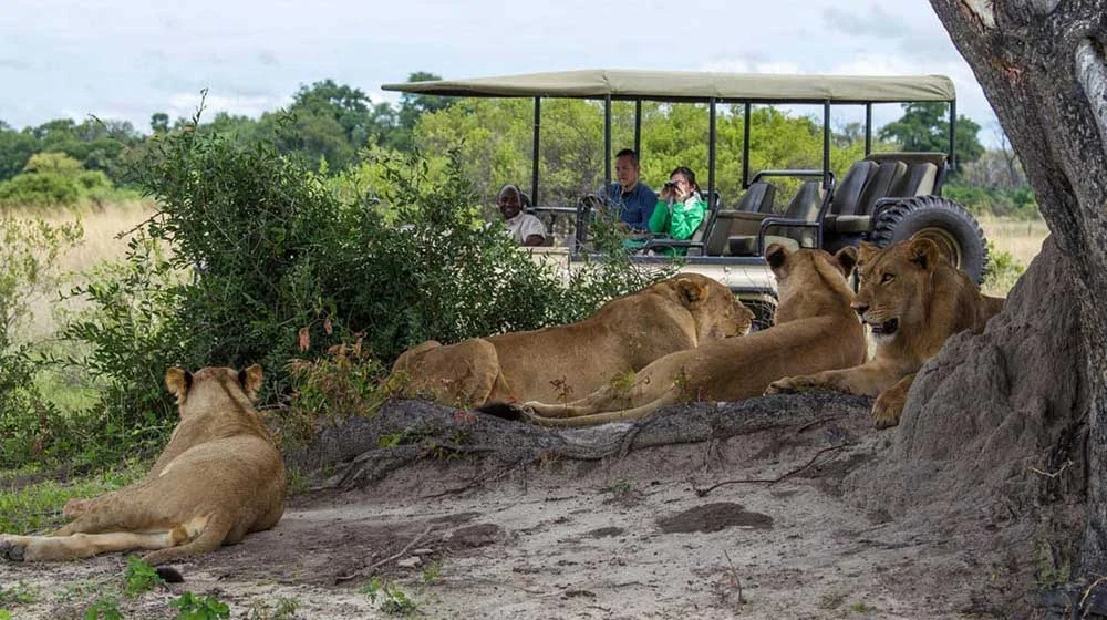 Chobe National Park