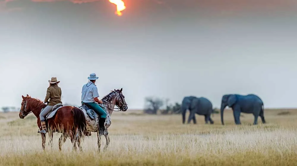 Zambezi Horse Safaris