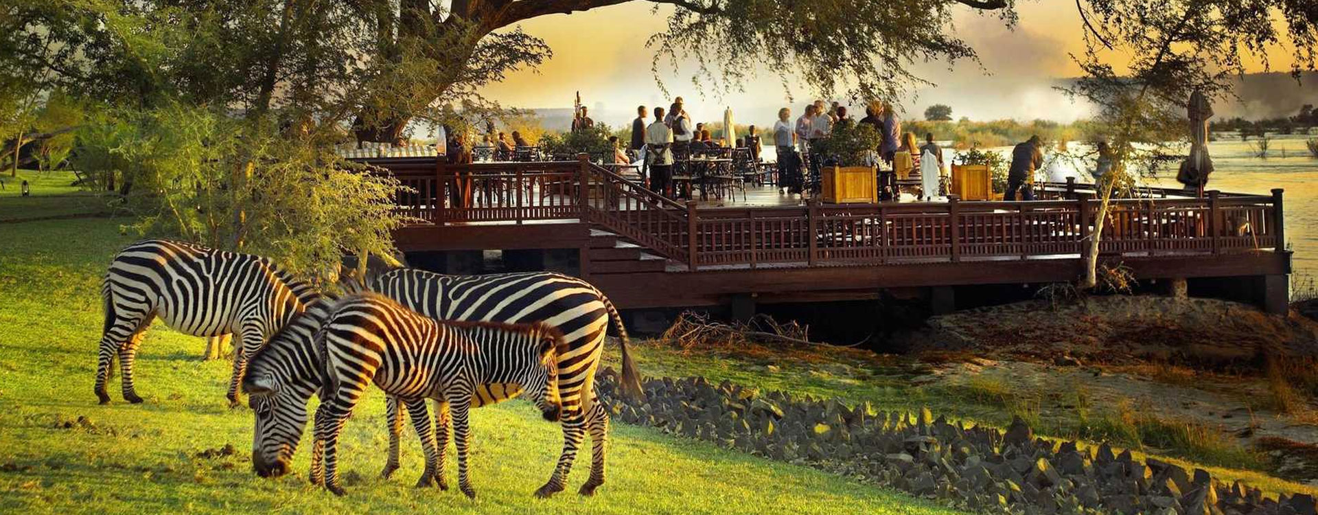 Victoria Falls Wildlife