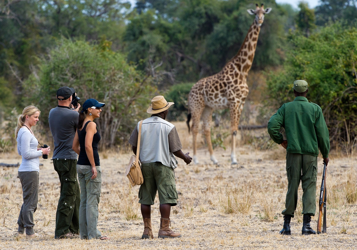 Zamzbia Safari Cost
