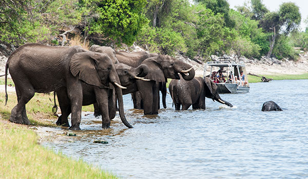 10 Days Ultimate Zambezi And Chobe Safari