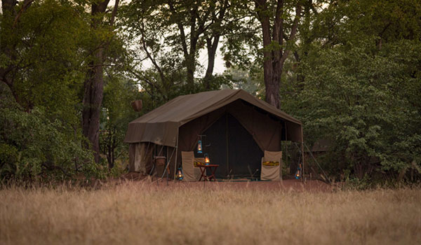 Bomani Tented Camp