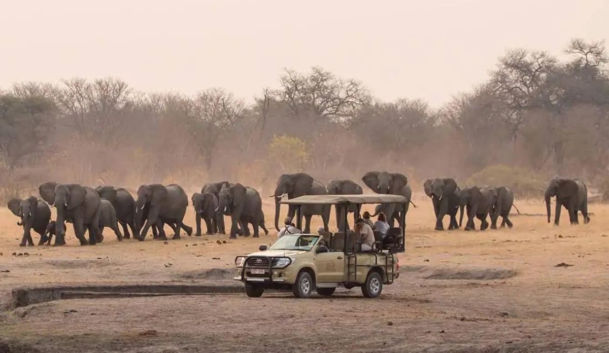 Zimbabwe Safari Cost