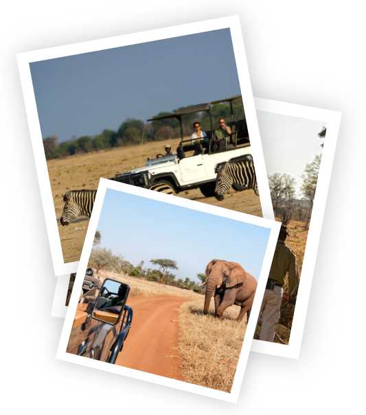 5 Day Elephant Hills Hotel Package
