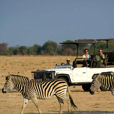 4 Day Mana Pools Safari